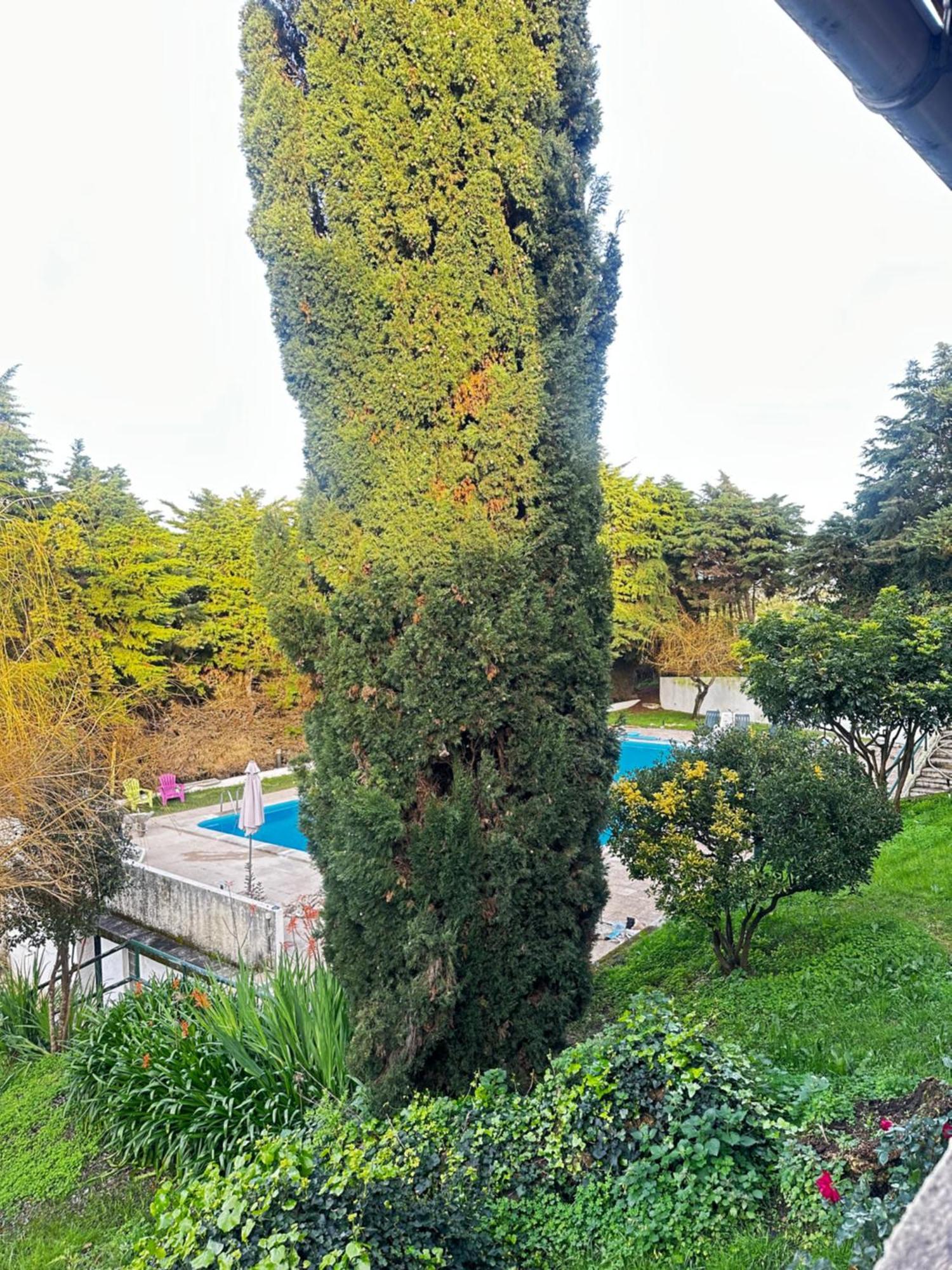 Quinta Dos Encantos "Entire Villa" Pero Moniz Экстерьер фото